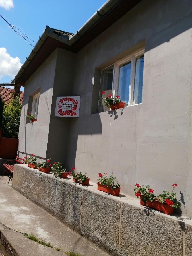 فندق Kalotaszeg Vendeghaz Izvoru Crisului المظهر الخارجي الصورة